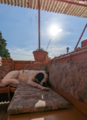 Vorschaubild der Version vom 14. Juli 2022, 20:46 Uhr