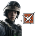 Lesion