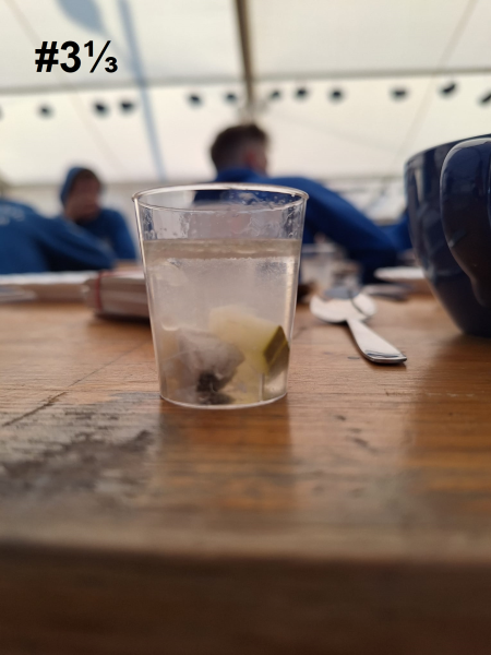 Datei:Fischlerpng.png