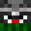 Mc Skin Waschbär.png