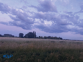 Vorschaubild der Version vom 14. Juli 2022, 21:25 Uhr